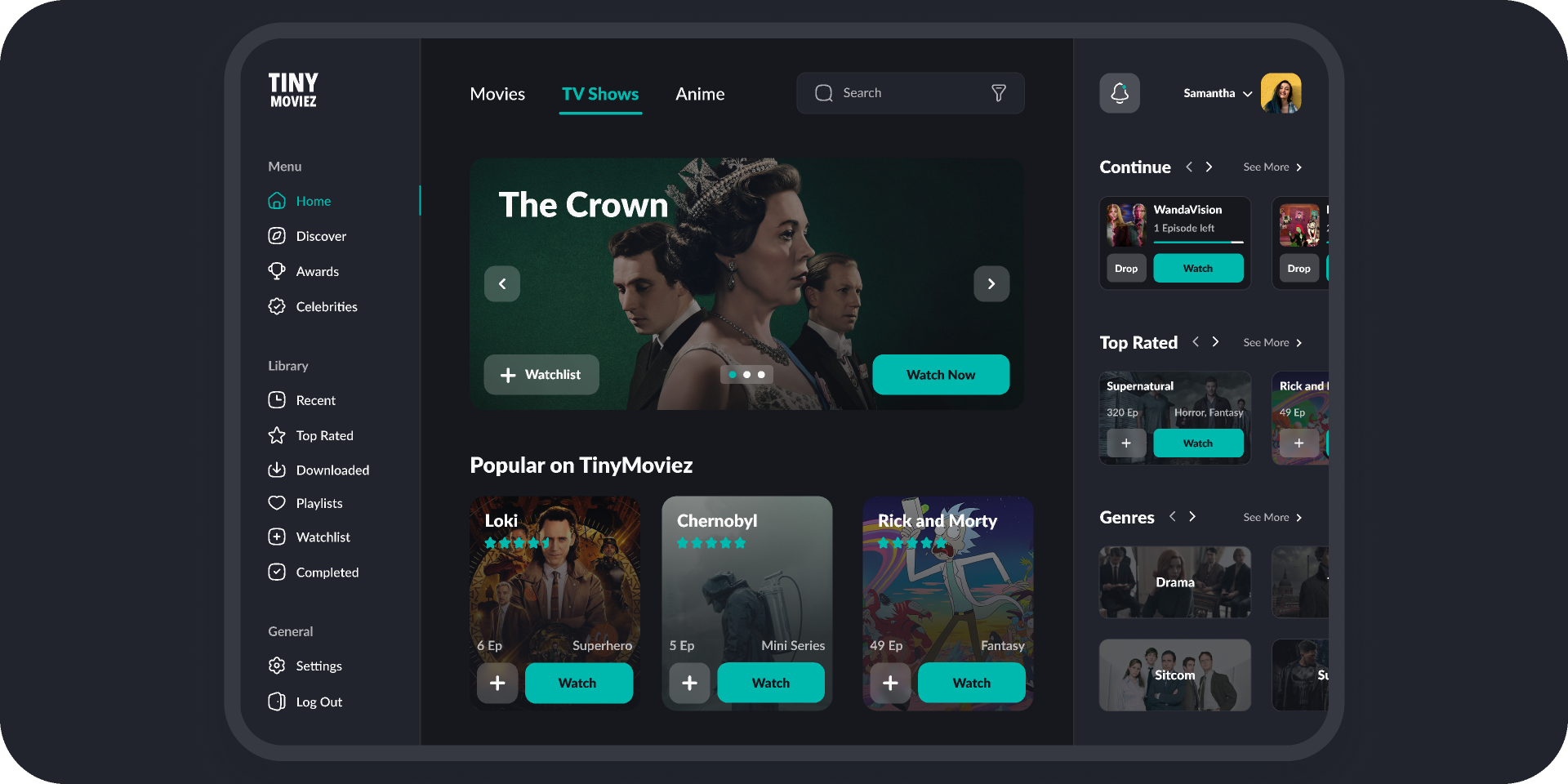 Tinyzone Streaming Interface